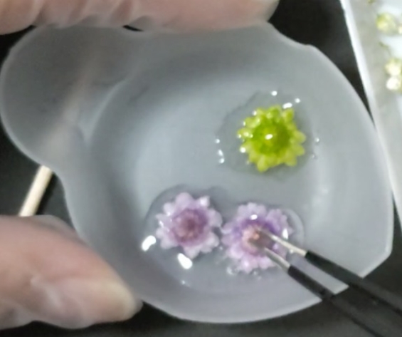 レジン)ドライフラワー入りヘアクリップの作り方|華やかヘアアクセ